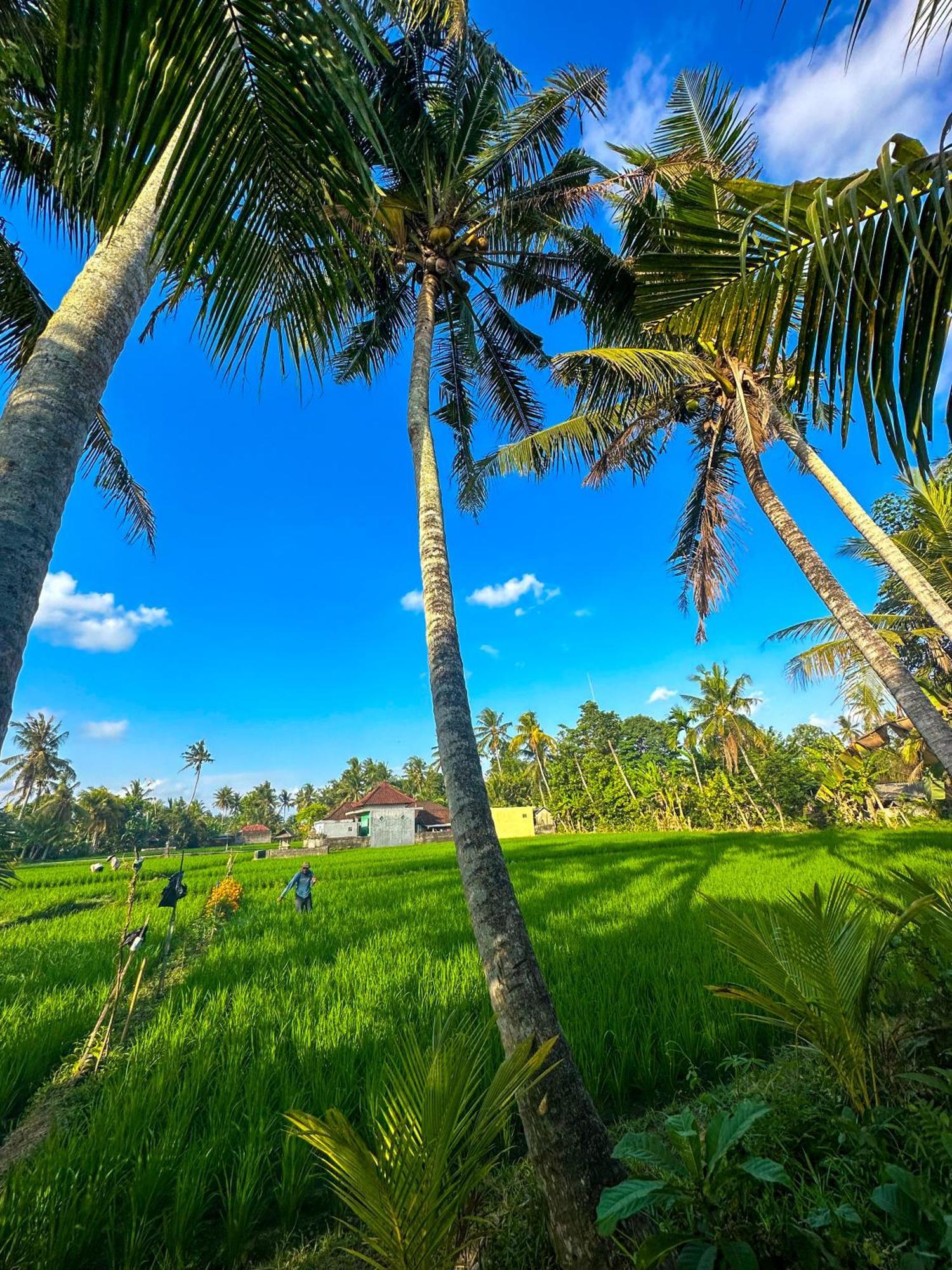 Nunu Bali Eco Friendly Retreat Hotel Canggu  Exterior photo